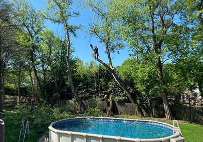 Emergency Tree Service